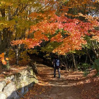 裏八景を見ながら下山