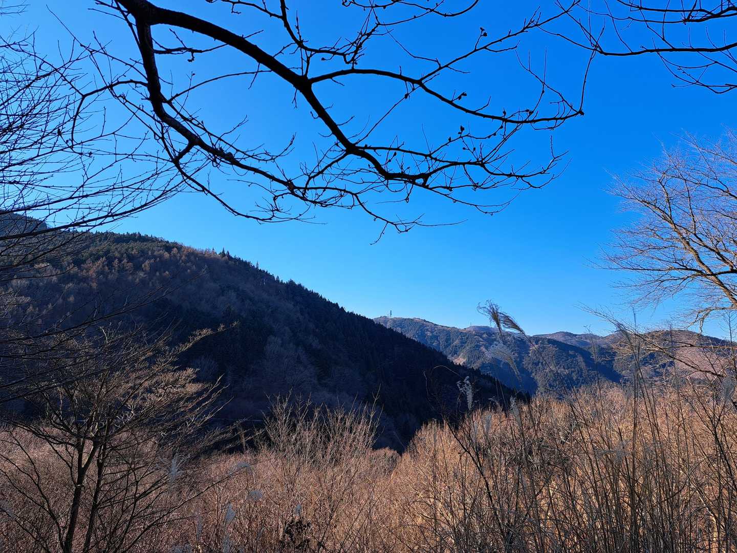 真ん中に本日の目的地
　堂平山展望台