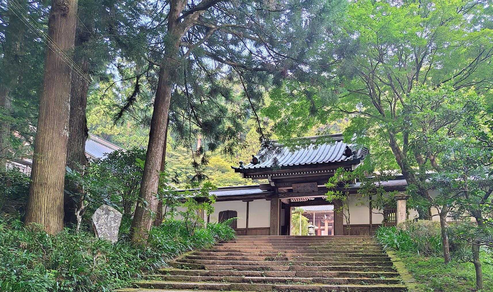 最乗寺の碧落門　奥まったところにあります。