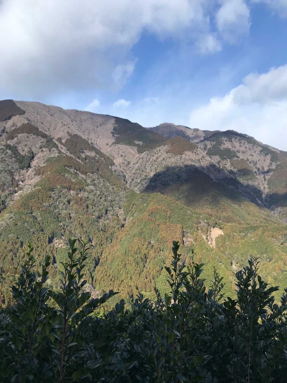 真富士山⛰