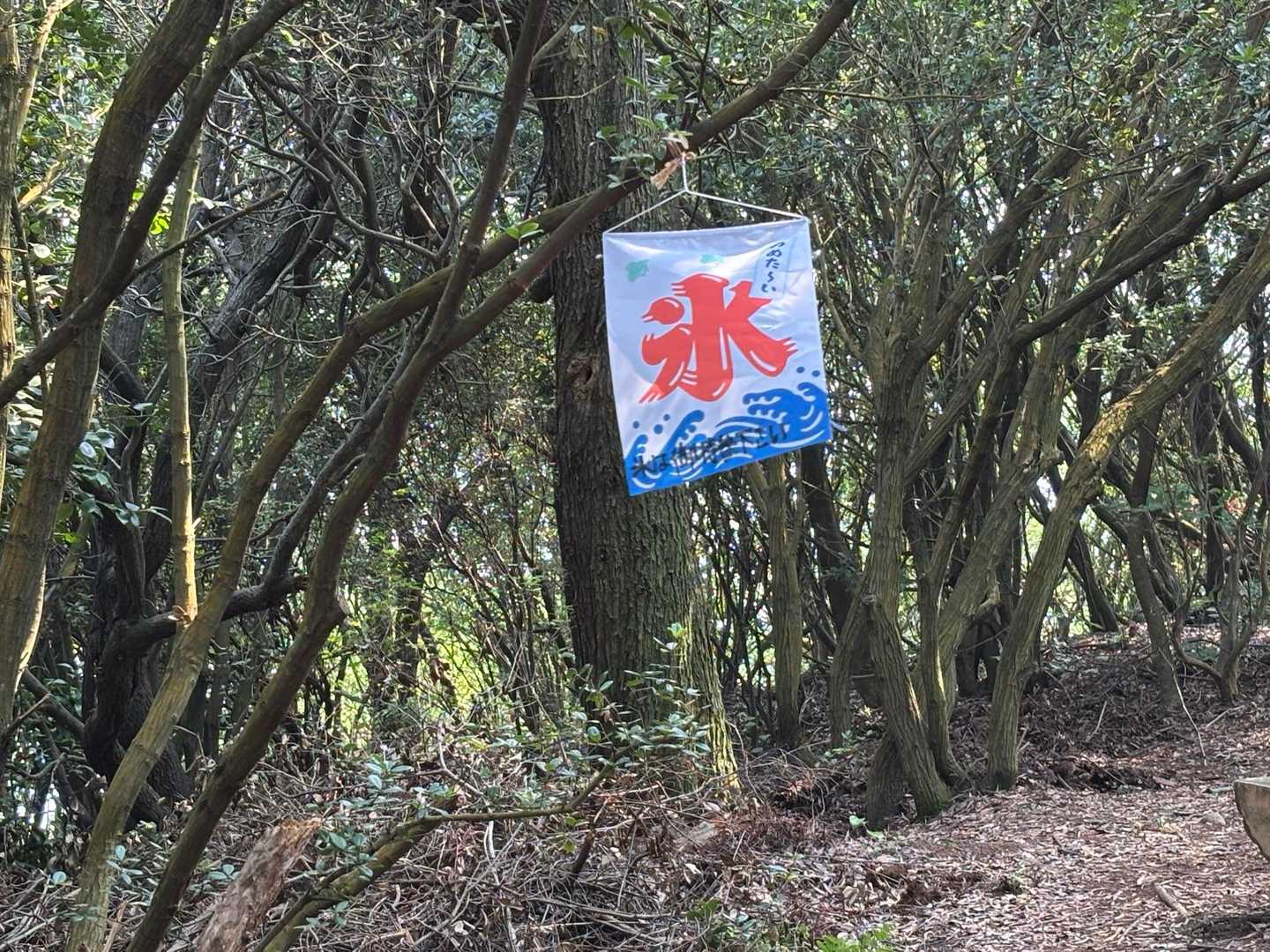 矢出山-新割山 往復コースの写真