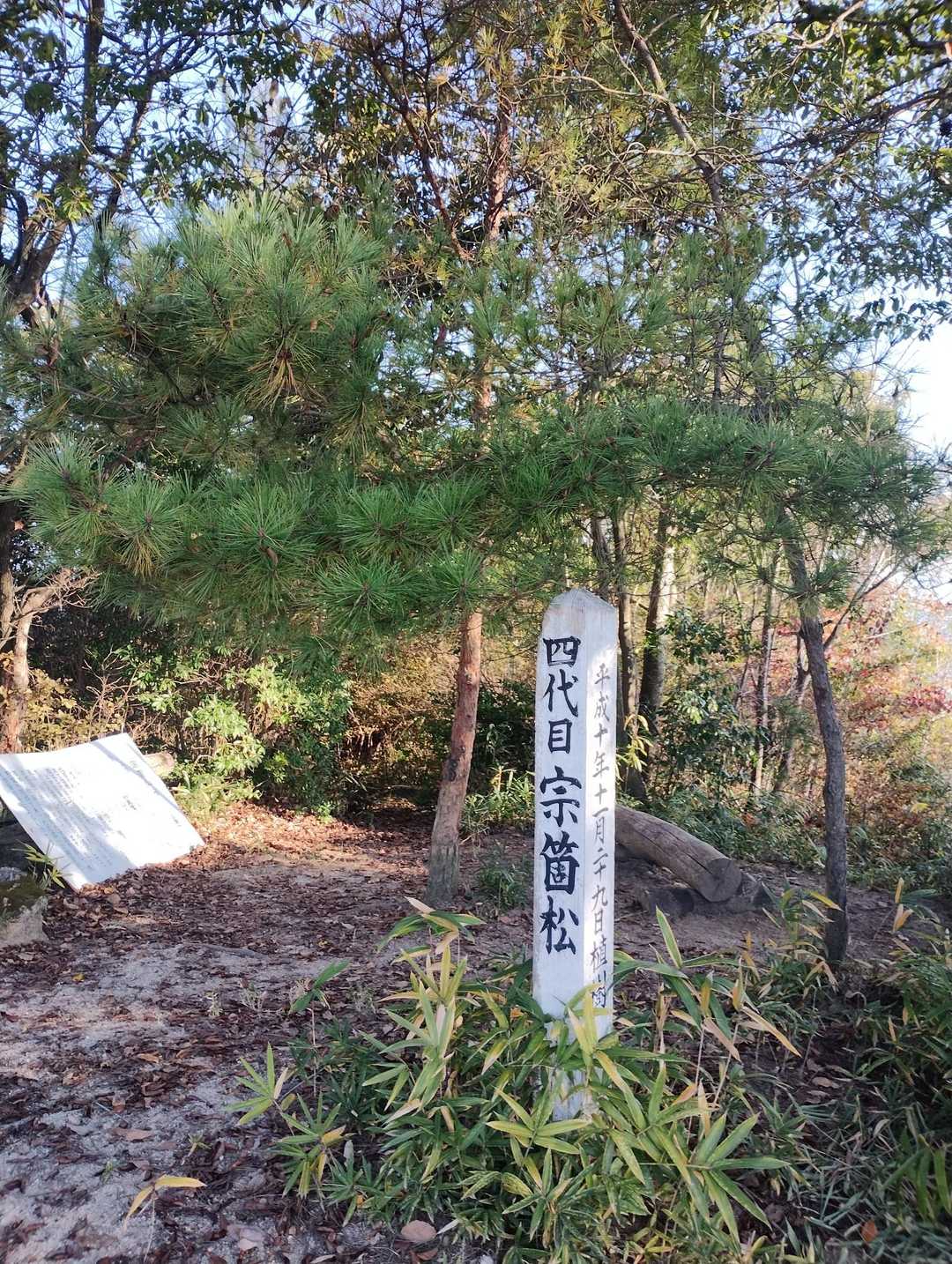 山頂到着