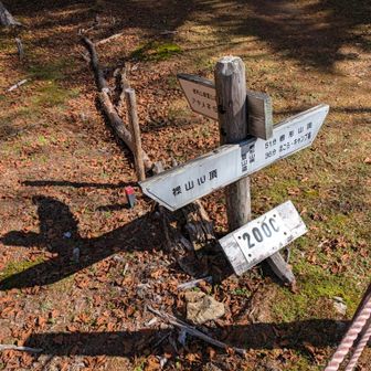 裸山山頂へ2ルートあります、どっちが登り用とかあるのかな😅