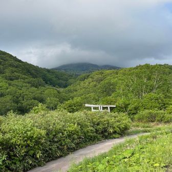 残念ながら大岳は見えず