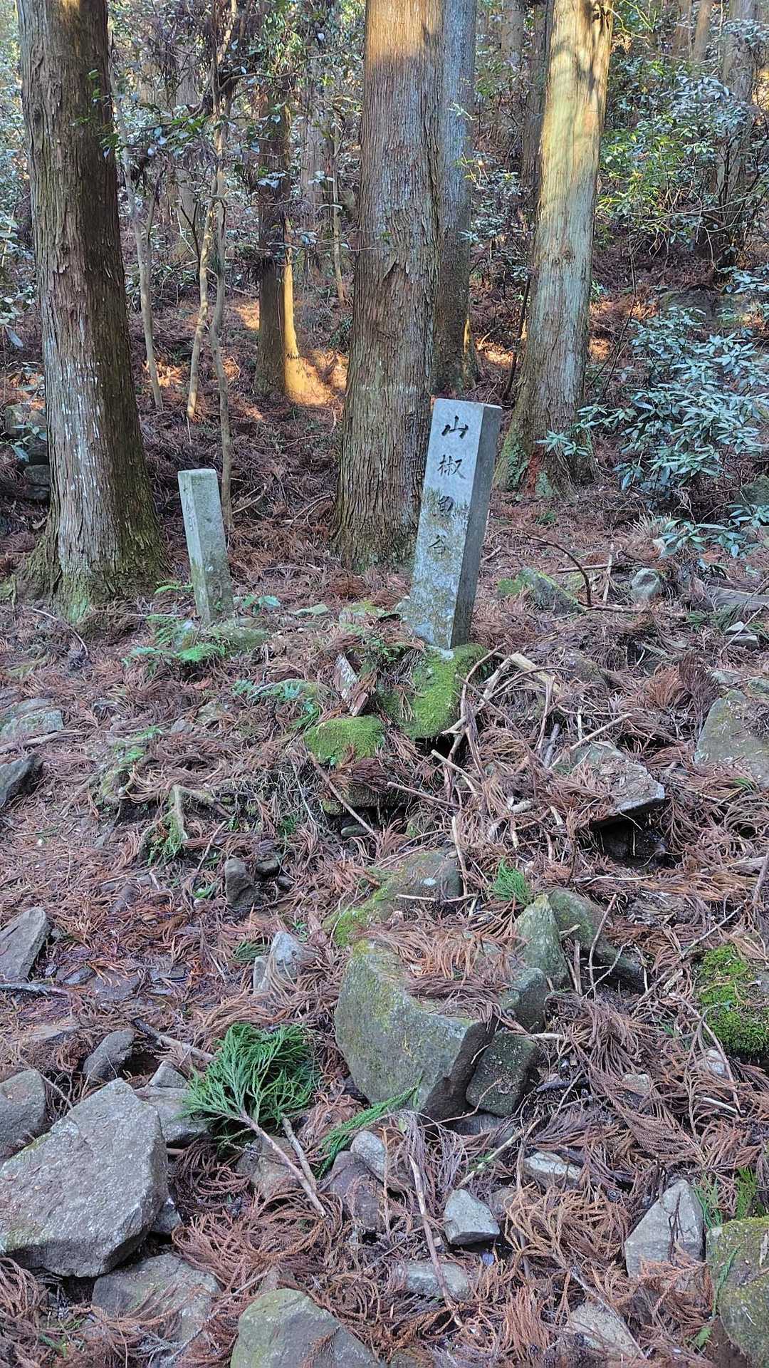 山椒魚谷