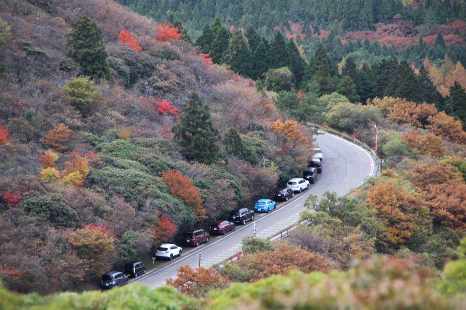 大曲登山口付近はいっぱい！