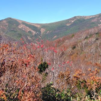 平標山と仙ノ倉山の稜線