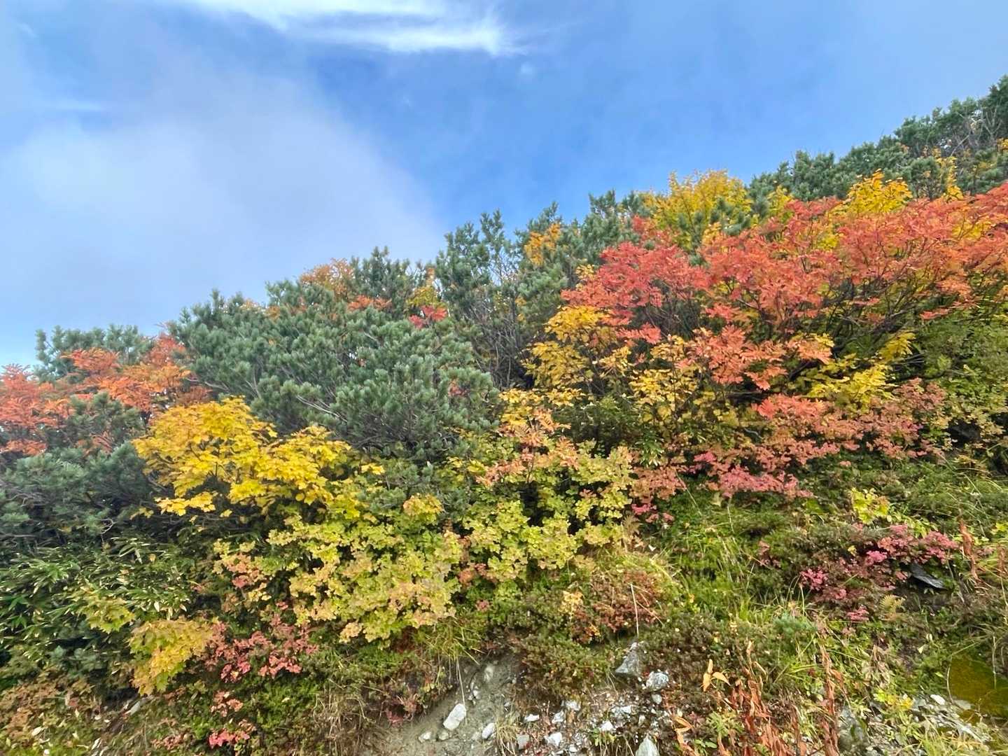 室堂登山口-別山-室堂バス停 往復コースの写真
