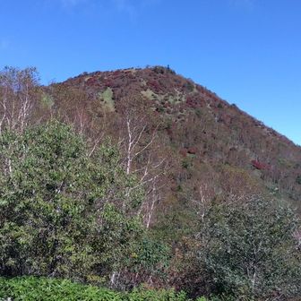 本日の本命、丸山