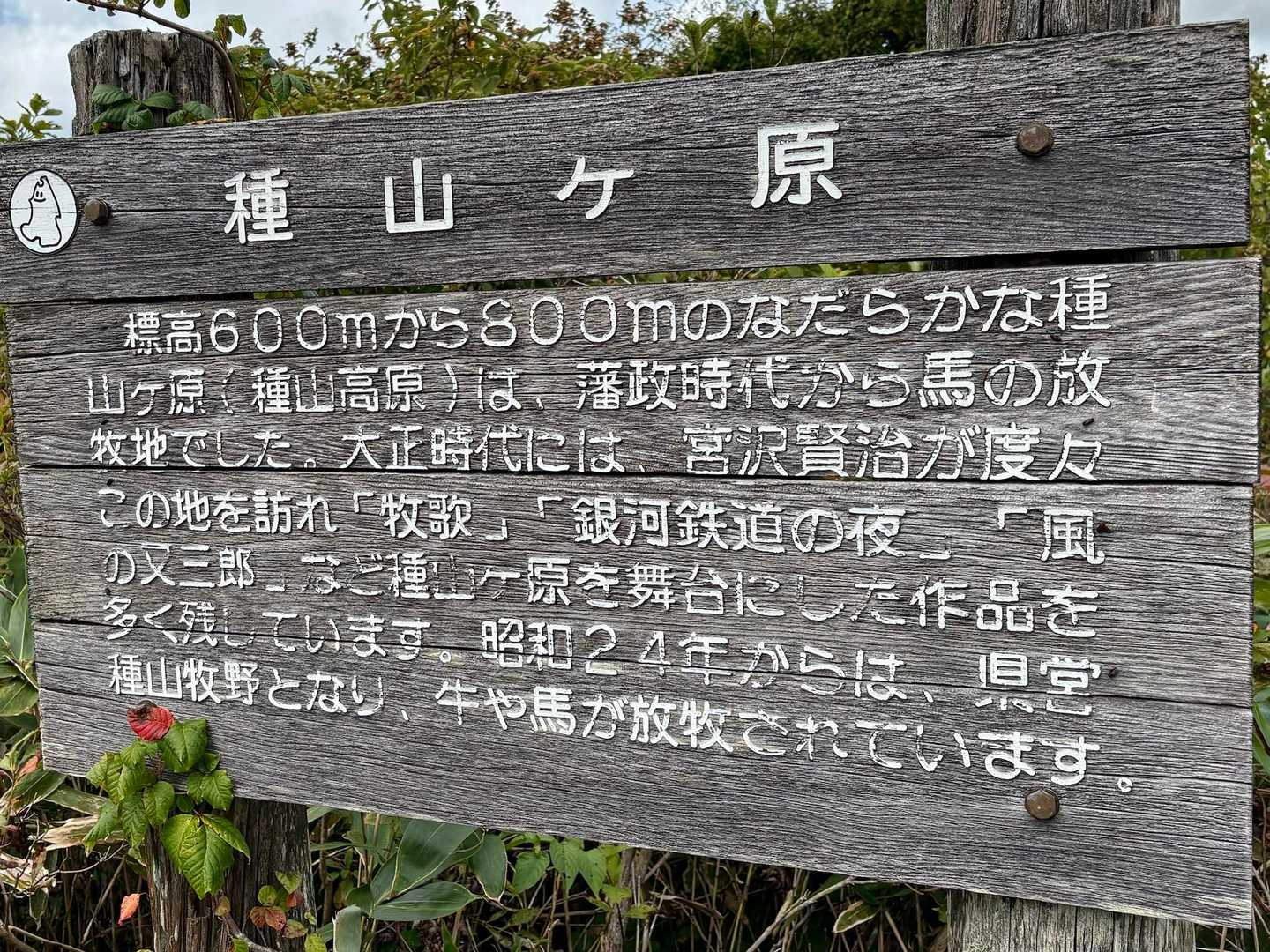 藩政時代から、馬の放牧地🐴だったとの事