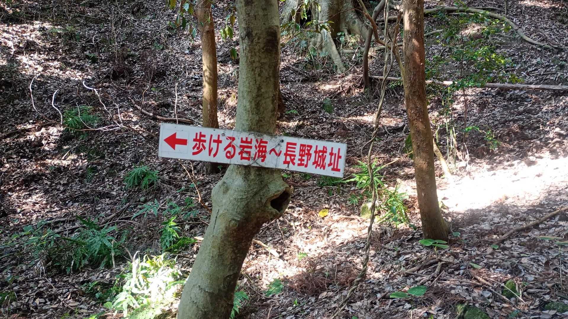 城山-長野岳 周回コースの写真