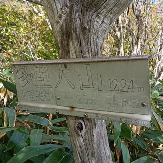 眺望は期待しない・・・