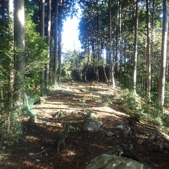 ヤマップの鞍馬山山頂
？？？