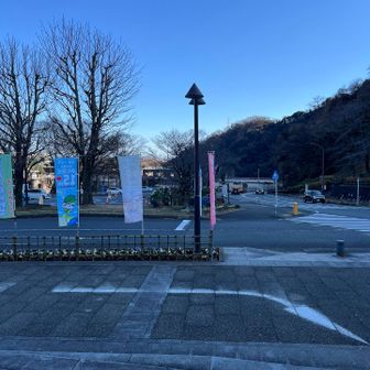 花の苑地は、この時期思い切り城山の影に入るので真昼なのにこの暗さ！