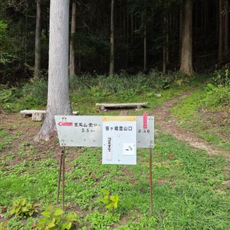 到着ここから寒風山南登山口迄🚶‍♀️