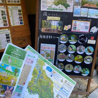 入館時間などを記入して📝
散策マップや季節ごとにかわる生き物植物マップをいただき、丁寧に説明していただけました💚
スタッフさんのオススメはDコースの森あるきだそうです🌳✨
（美味しそうなお芋の匂いが👃）