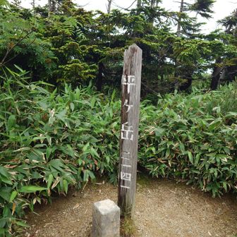 平ヶ岳山頂。ついに到達