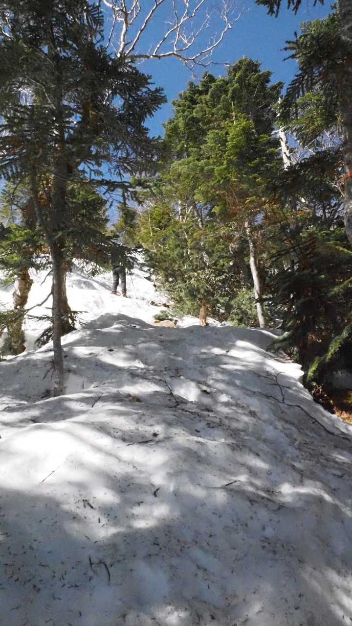 仙丈ヶ岳、残雪期テン泊 の写真 9