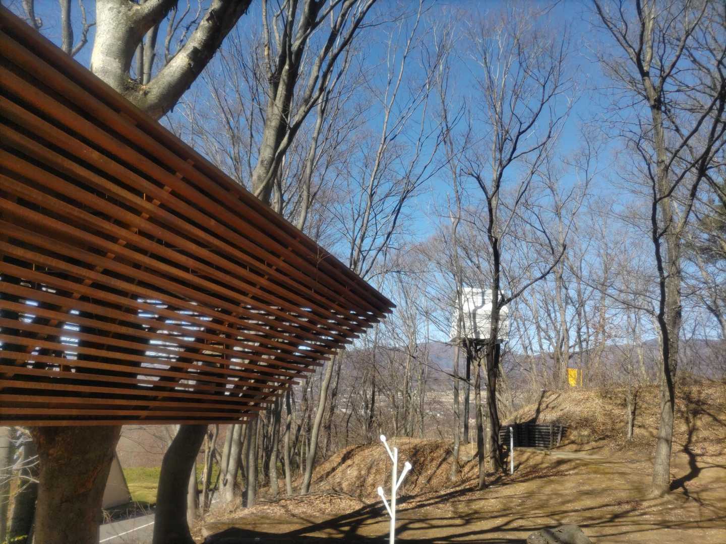 ツリーハウスが沢山