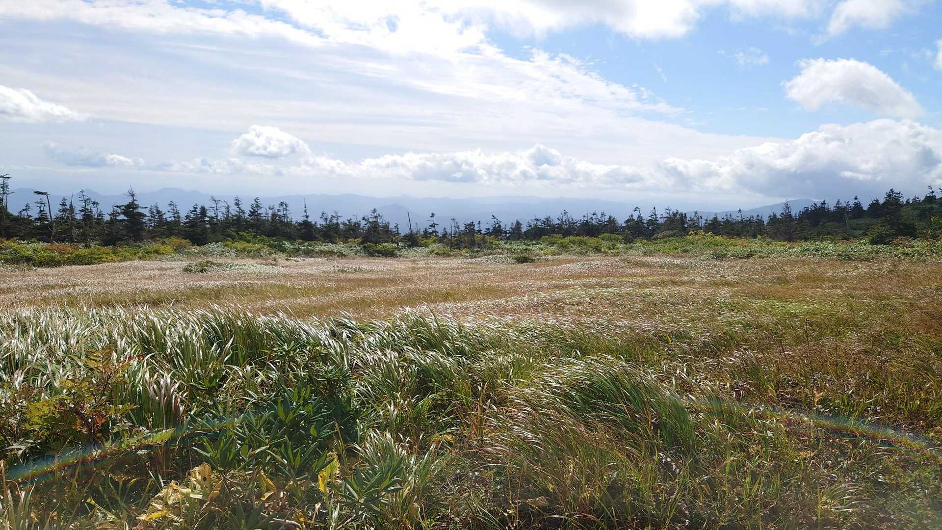 湯森山-笊森山-乳頭山-大釜温泉登山口 縦走コースの写真