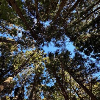 空を見上げると晴れ