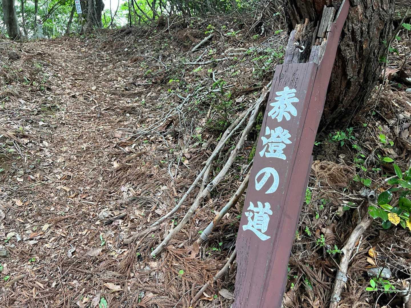 今日はたまたま泰澄のみち〜🎶

記念すべきオク会スタートです🕺🏼