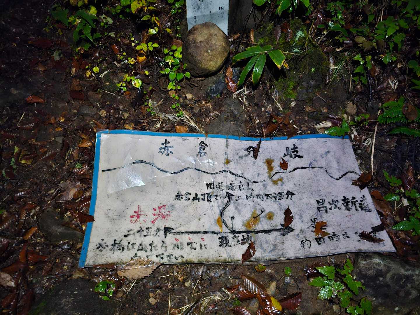 急だし距離もあるから星さん大丈夫かな…
カズミンさんと私の心配は無用。