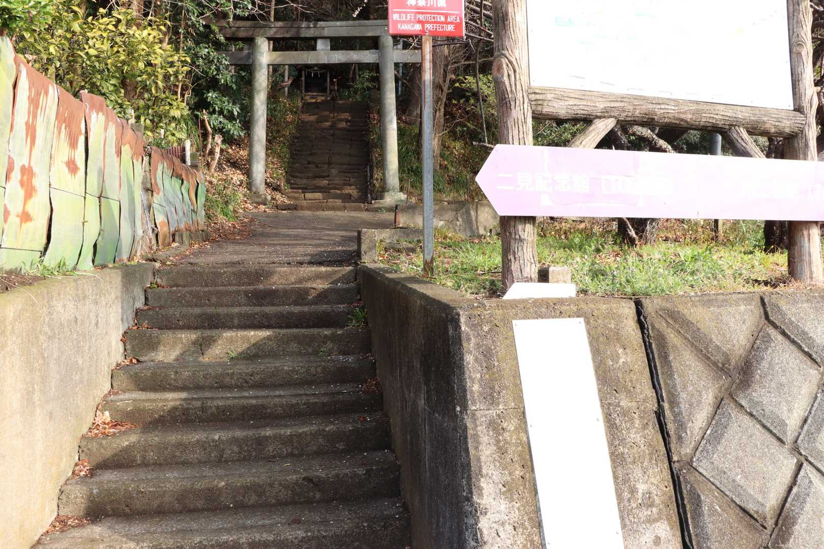 ちゃちゃっと下山してきました！