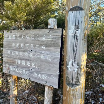 1Peek「西岳」⛰️
ここまで来るのに、コースのコメントや急な鎖場にヒヤヒヤドキドキしながら登って来ました。
途中
「俺凄いな､前なら絶対行かんかったわ」
「行ったら同じとこ戻らなあかんし行くのやめようかな」
自分を鼓舞するのと諦めるのと境目を行ったり来たり。