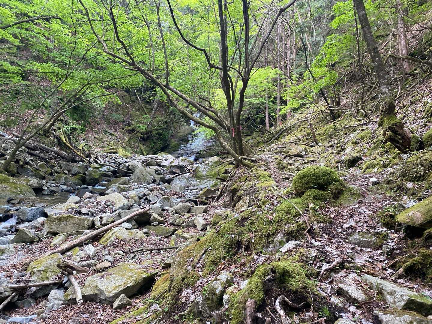 川沿いの道って好きだな