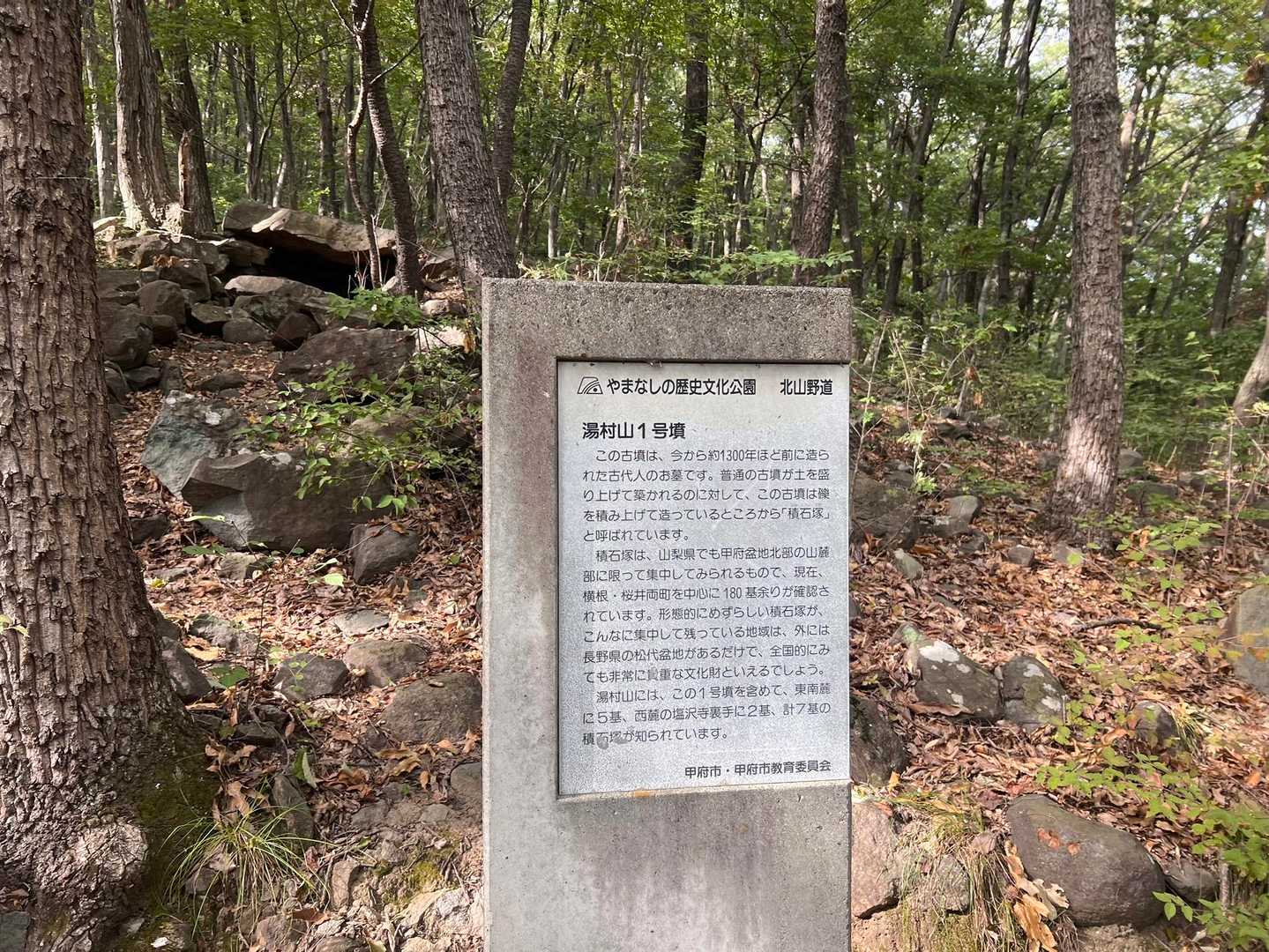 ここのお山、こんな感じで沢山の古墳もあったり昔の井戸もあったりするみたい🥾⛰️📝