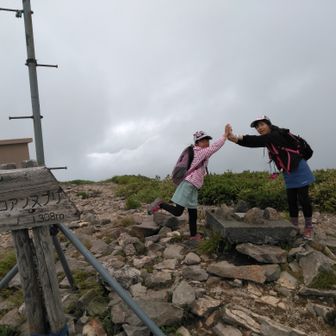 にゃんこにゃんこ