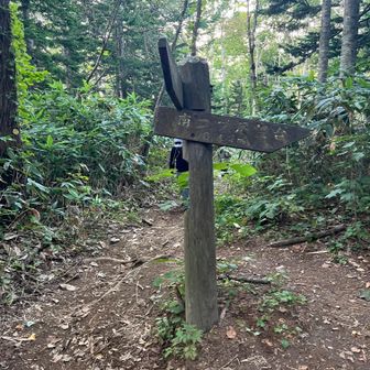 南コブ展望台分岐