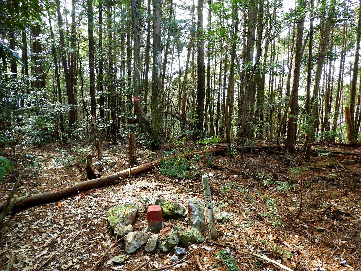 山頂はこんな感じです。
ここも展望がありませんね☺️
この先は登山道が無くなります。
切れ落ちた岩場があるので深入りは禁物です。