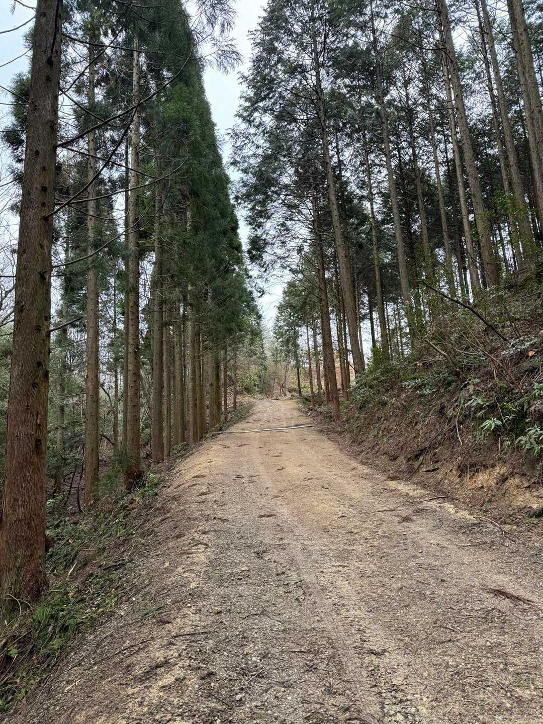 この辺りは全く危険箇所ありませーん🎵
