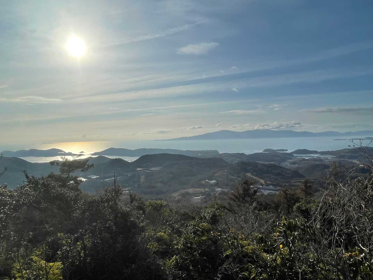 朝日に照らされてめっちゃ綺麗やな✨