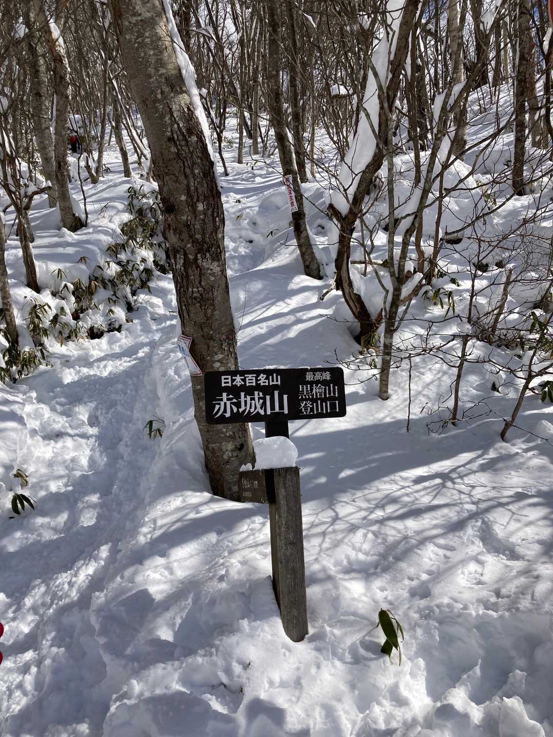 黒檜山登山口から
いきなり急登