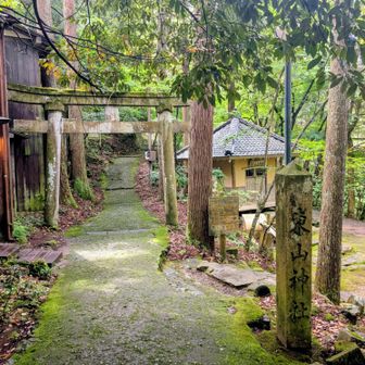 待ってました🎶
鶴仙渓は🐦️が大好きな場所💚