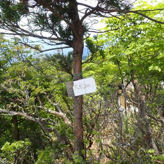大登岐山の頂上看板