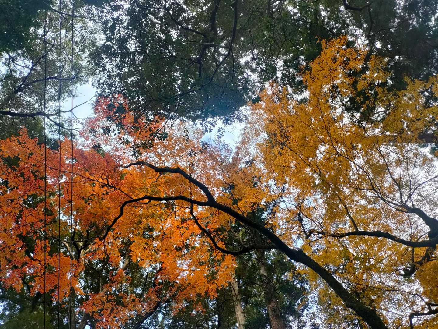 行縢山登山口-行縢山-雌岳 周回コースの写真