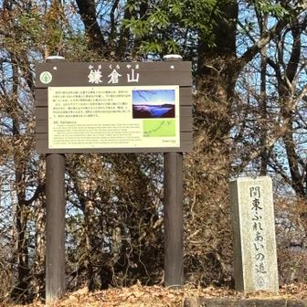 東屋のある所に戻って来た…縦走道を行ってみよう！