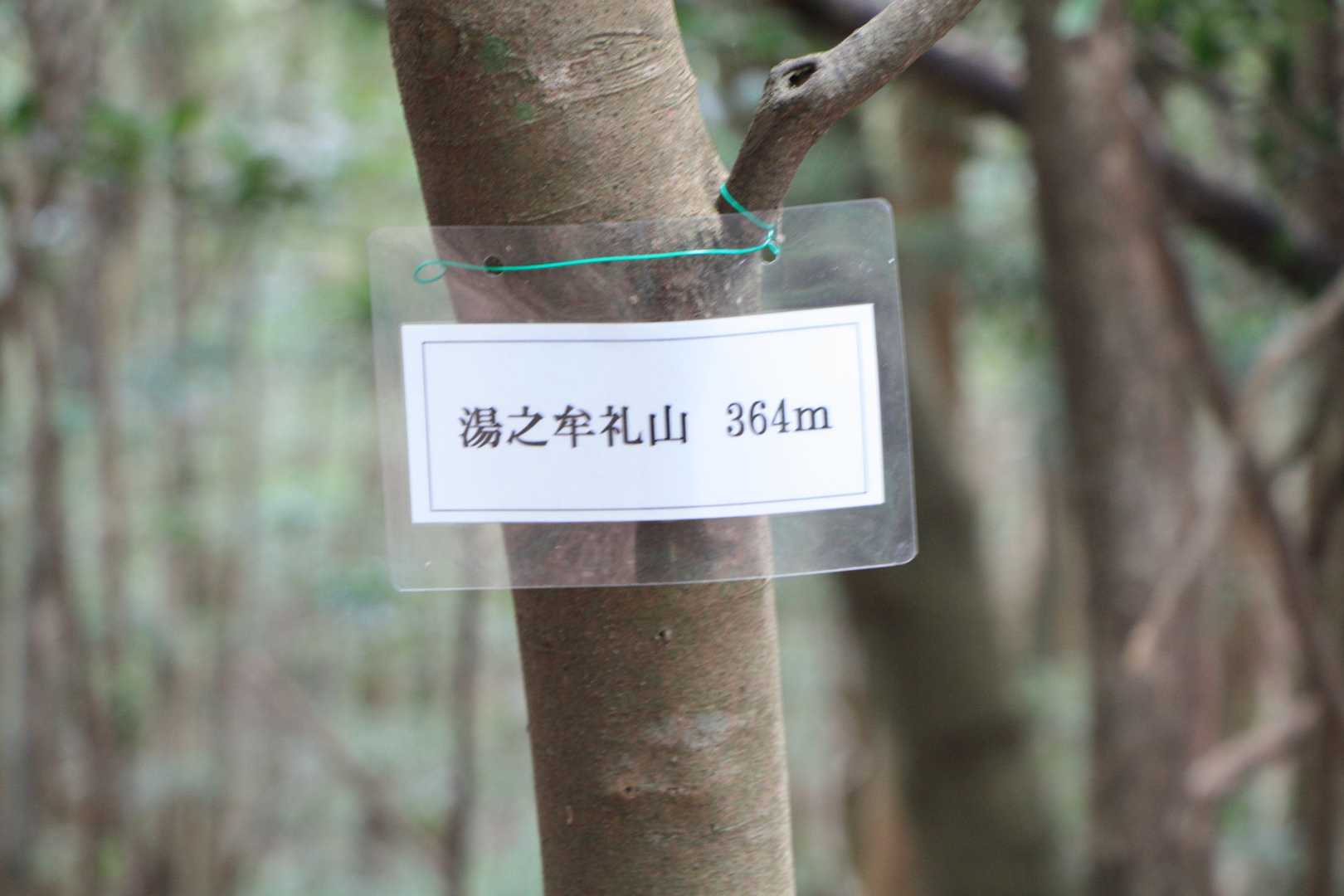 またまた何時もの表示