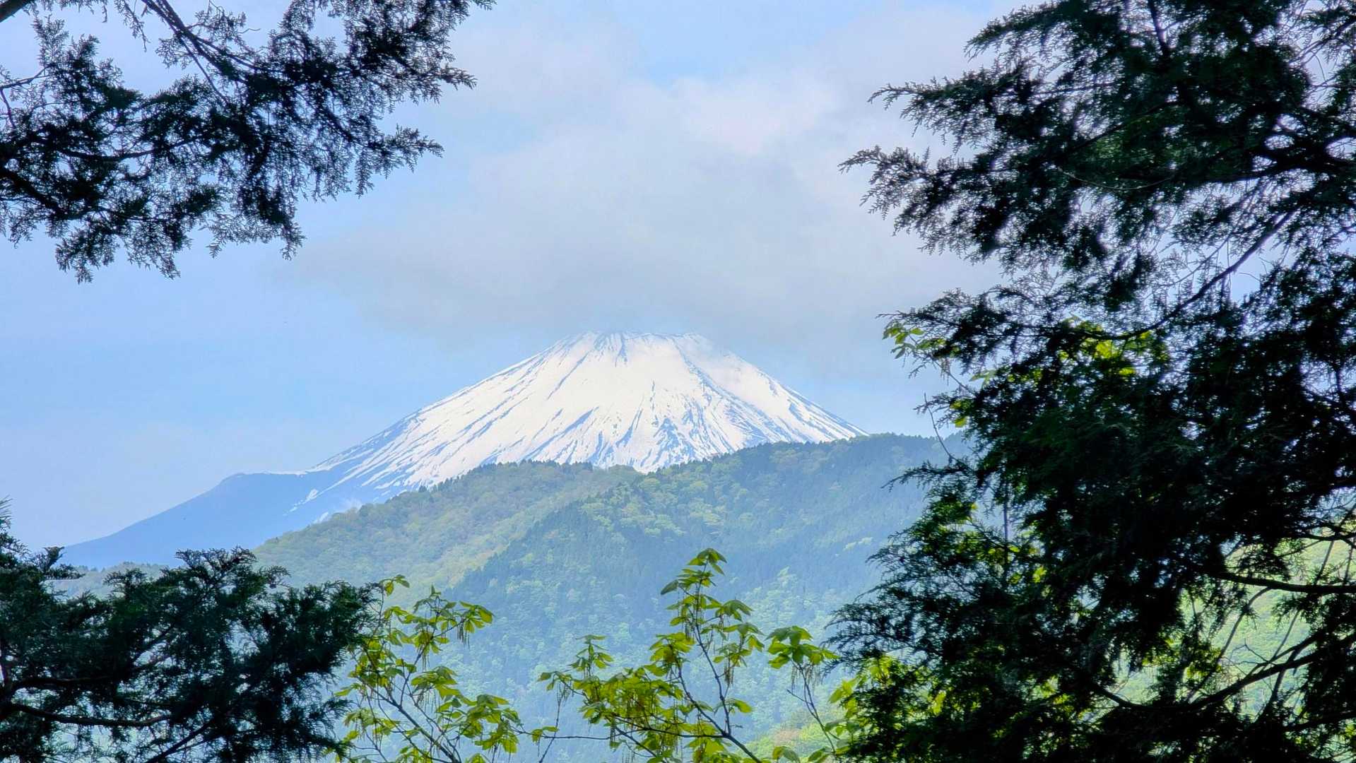 堀山の家から今日のお富士🗻