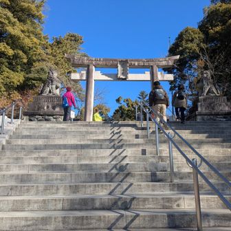 武田神社
参道階段
1919年(大正8年)創建
甲府開府400年事業
