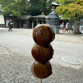 さっき柿の種と古代米煎餅を食べたばかりなのに、天狗十穀力団子も食べる