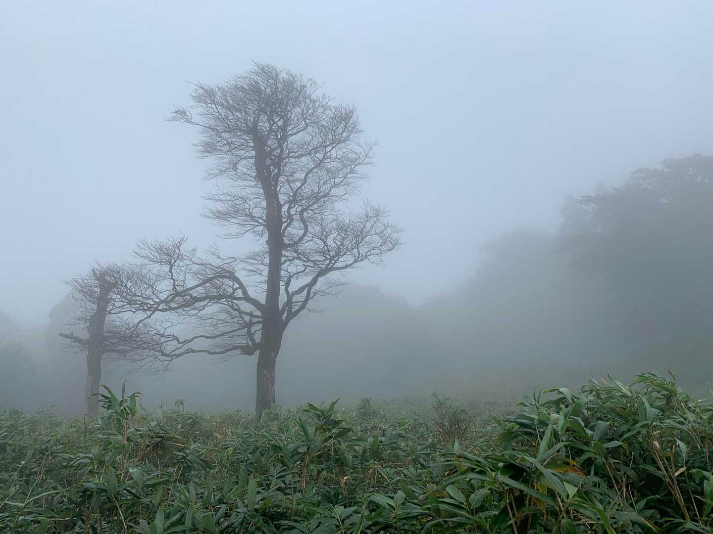 駒の尾登山口-駒の尾山-鍋ヶ谷山-船木山-後山-船木山登山 縦走コースの写真