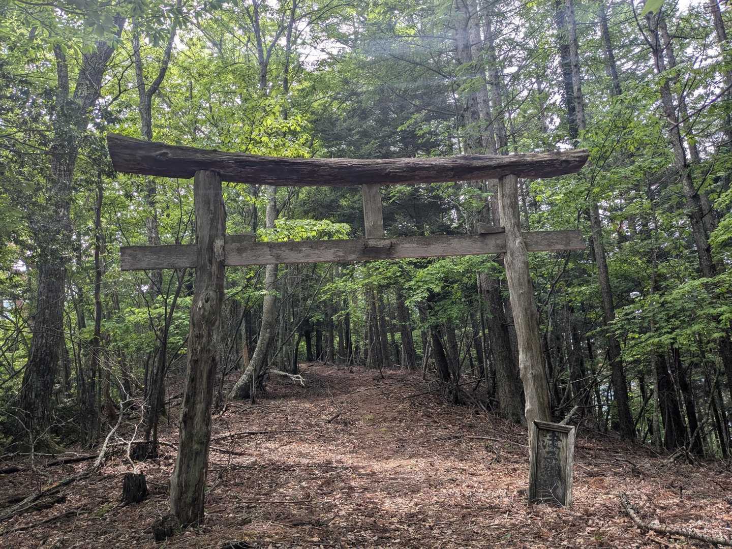久薮登山口-秋葉山-津志嶽 往復コースの写真