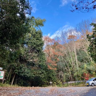 🅿️戻って来た〜！
結構🚙停まっていたけど、私の一台のみ😉