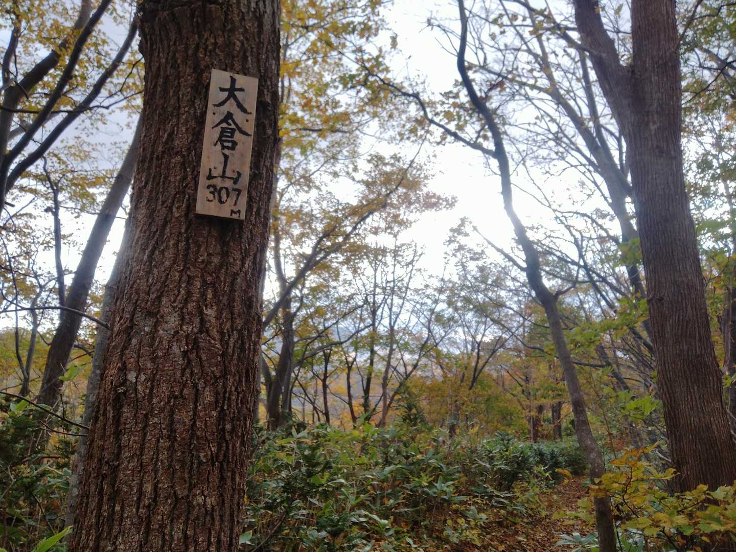 久々な感じの大倉山♫