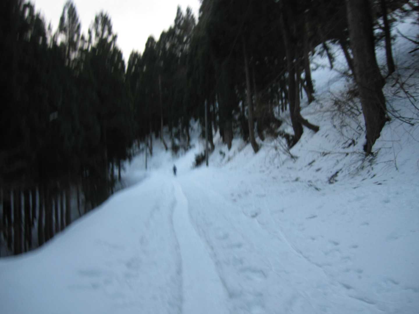 まずは登山口まで